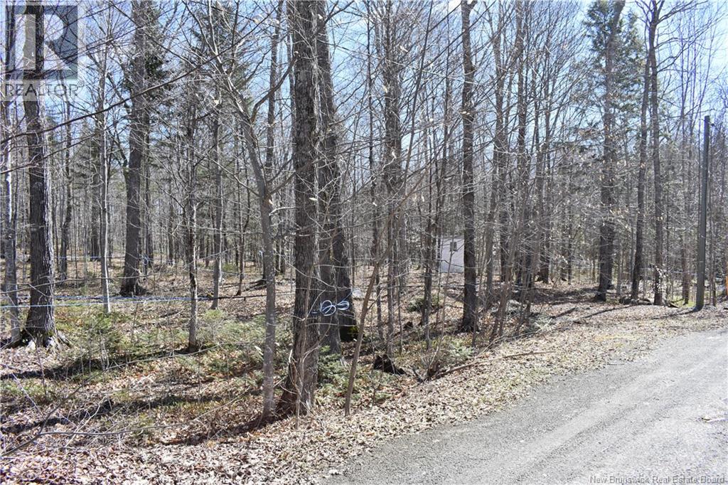 344 Route 575, Pole Hill, New Brunswick  E7P 3H9 - Photo 16 - NB132225