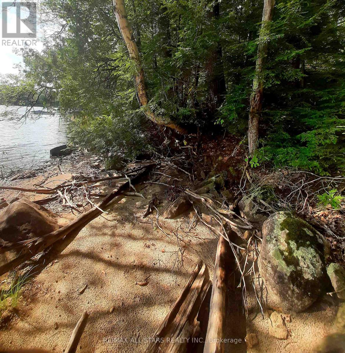 0 Fire Route 267, Trent Lakes, Ontario  K0L 1J0 - Photo 3 - X13073896