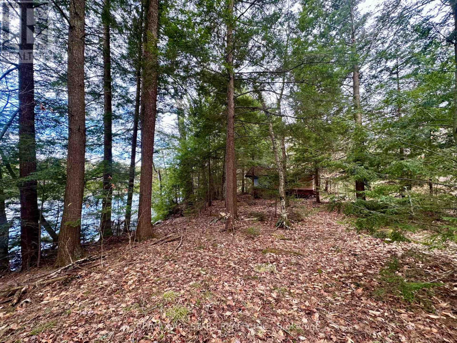 0 Fire Route 267, Trent Lakes, Ontario  K0L 1J0 - Photo 7 - X13073896