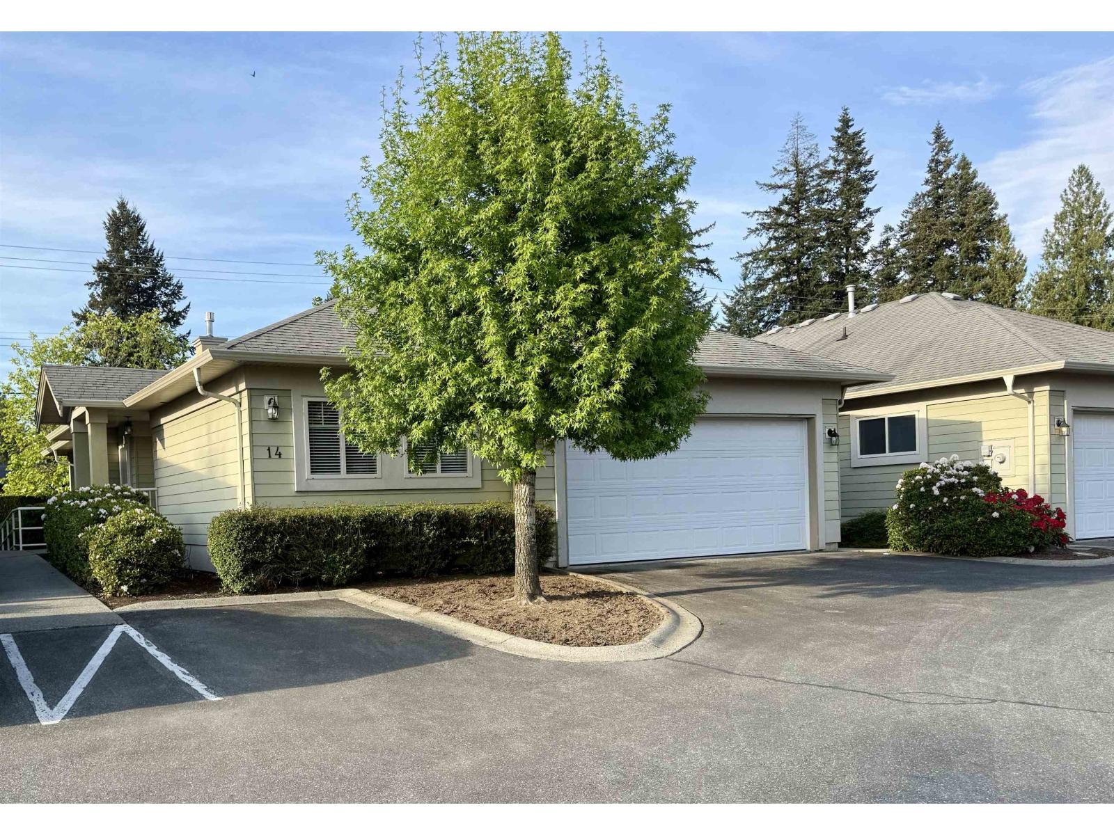 14 34159 Fraser Street, Abbotsford, British Columbia  V2S 8P2 - Photo 2 - R3104250