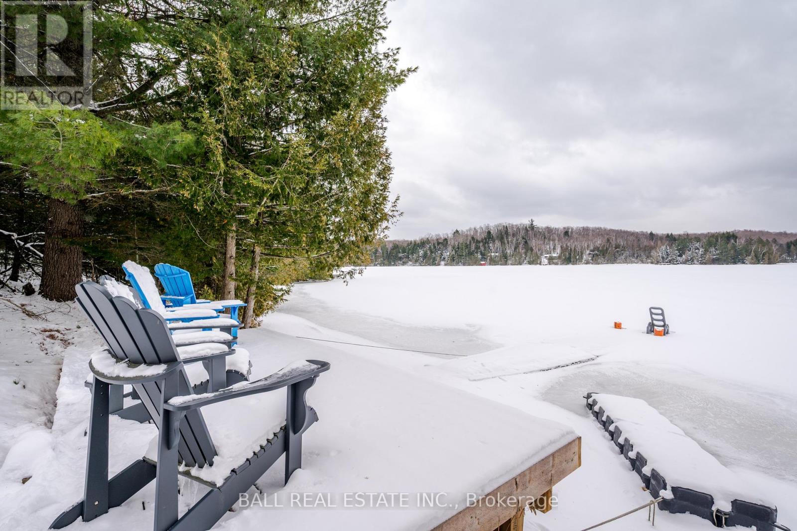 25 Fire Route 330 (Northshore Rd), Trent Lakes, Ontario  K0M 1R0 - Photo 18 - X12904408