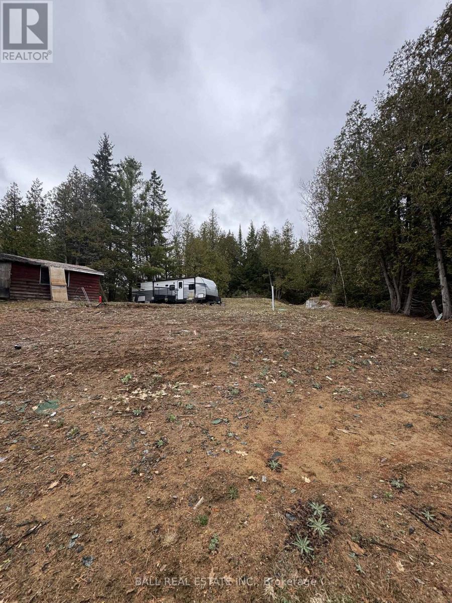 25 Fire Route 330 (Northshore Rd), Trent Lakes, Ontario  K0M 1R0 - Photo 6 - X12904408