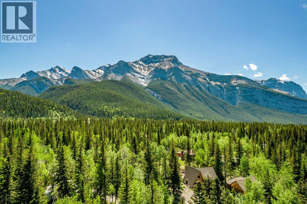 38 Heart Road, Lac Des Arcs, Alberta  T1W 2W3 - Photo 43 - A2293915