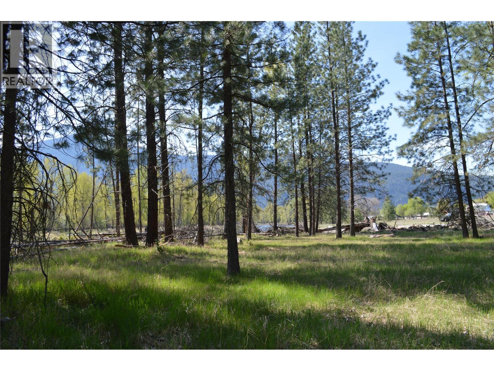 12th Street Lot# 3, Grand Forks, British Columbia  V0H 1H0 - Photo 16 - 10385756