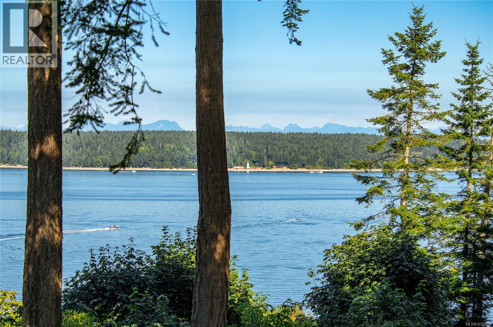 1093 Ash St, Campbell River, British Columbia  V9W 1G6 - Photo 2 - 1013131