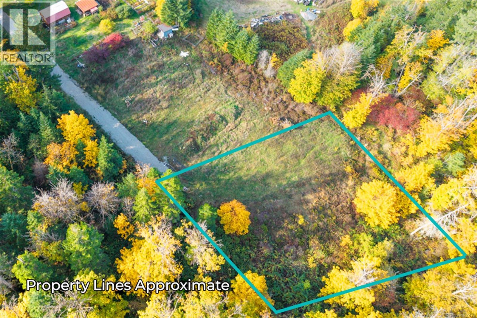 Lot 3 Maebelle Rd, Port Alberni, British Columbia  V9Y 8R2 - Photo 4 - 1030173