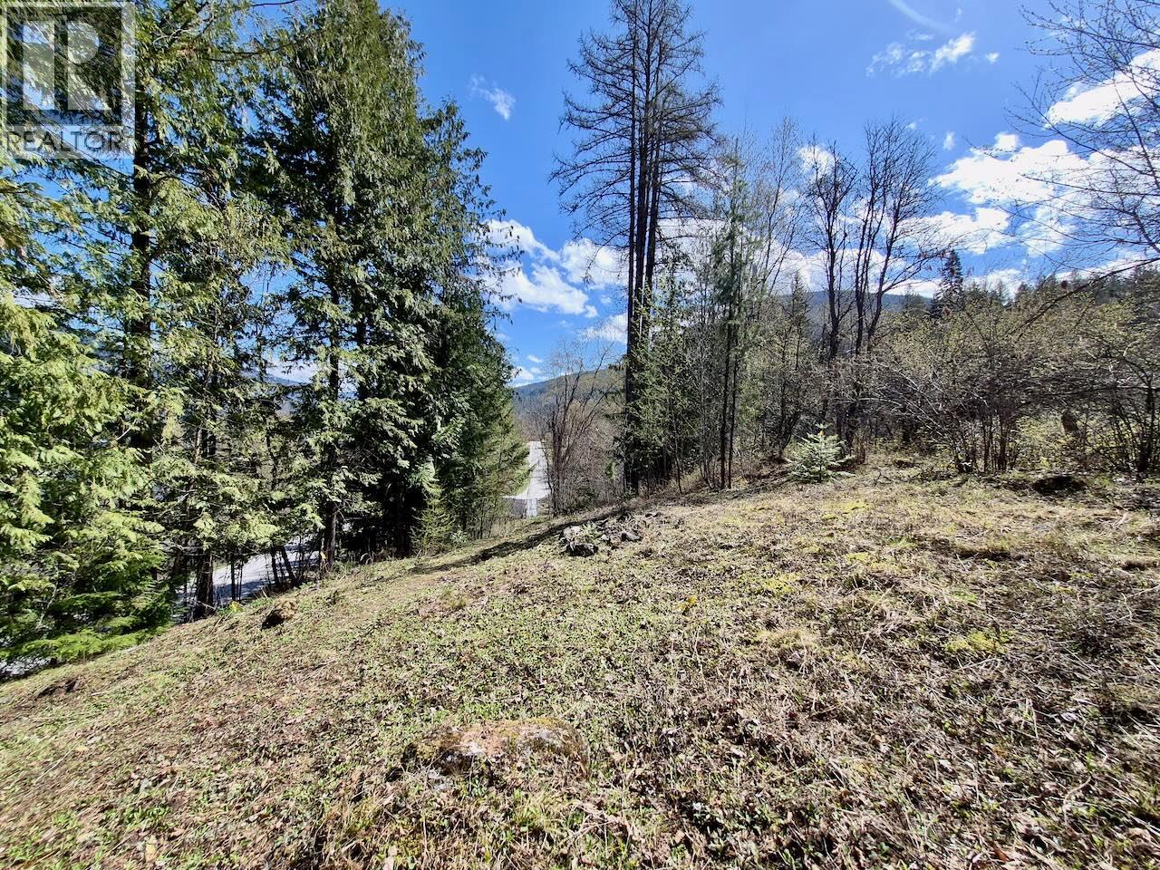 3297 Vindusky Road, Nelson, British Columbia  V1L 6X7 - Photo 23 - 10385170