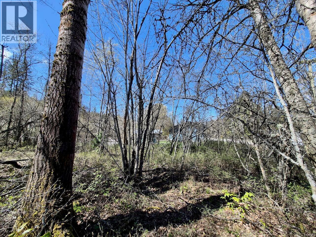 3297 Vindusky Road, Nelson, British Columbia  V1L 6X7 - Photo 25 - 10385170