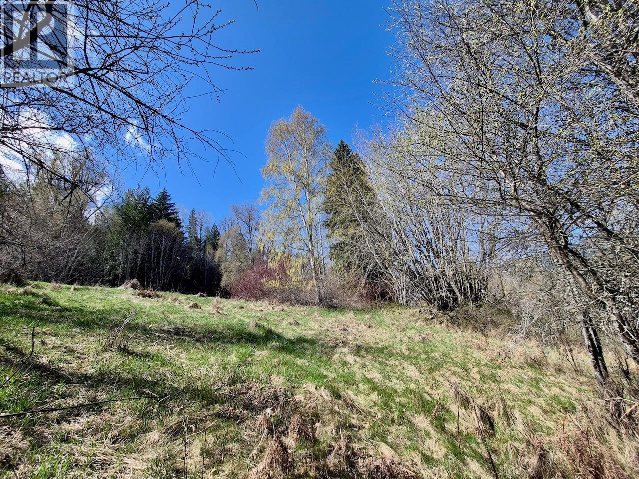 3297 Vindusky Road, Nelson, British Columbia  V1L 6X7 - Photo 4 - 10385170