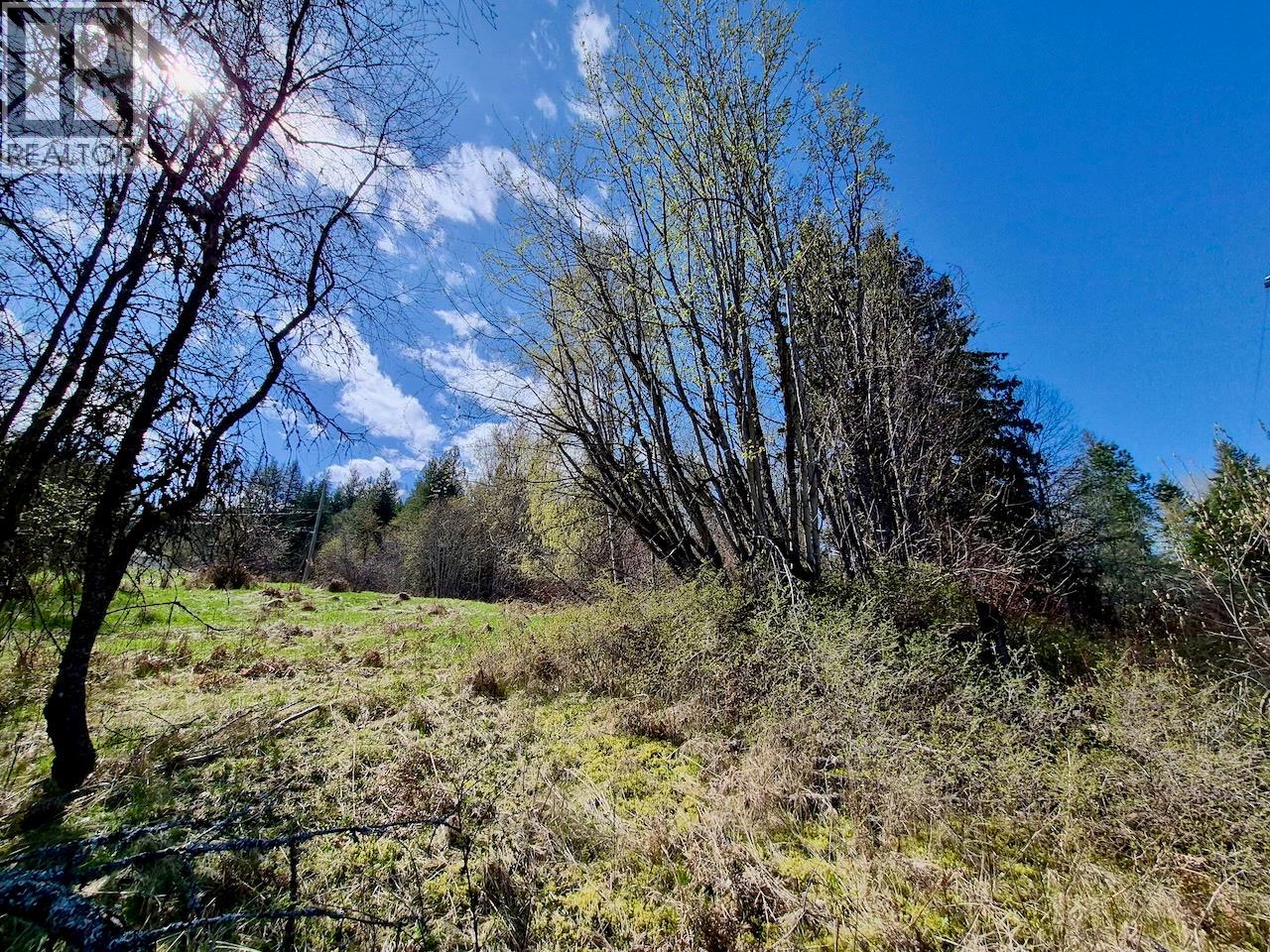 3297 Vindusky Road, Nelson, British Columbia  V1L 6X7 - Photo 5 - 10385170