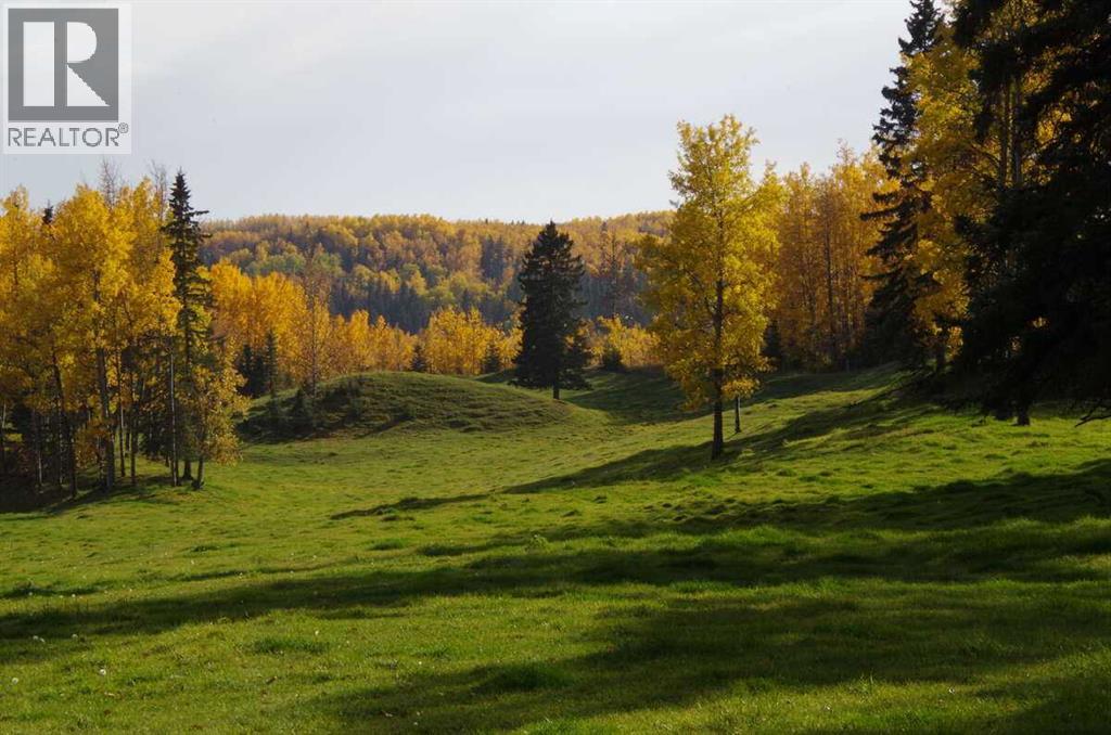 62076 James River Road, Rural Clearwater County, Alberta