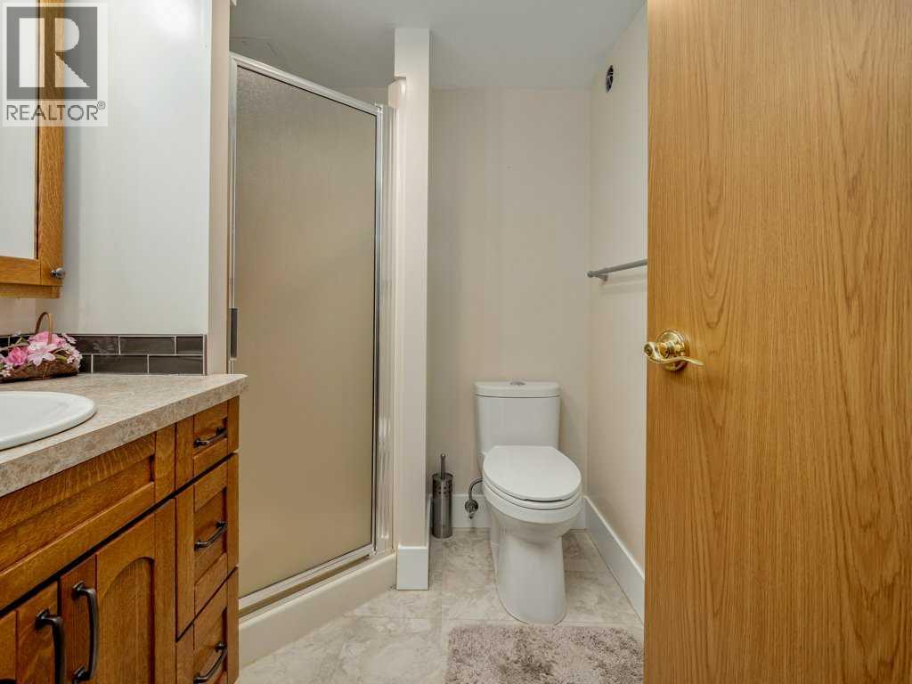 227, 20 3 Street S, Lethbridge, Alberta  T1J 4P1 - Photo 18 - A2303219