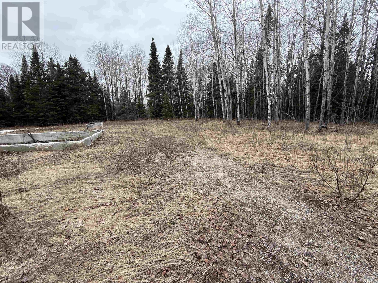 94 Meadows Rd, Dryden, Ontario  P8N 2Y4 - Photo 4 - TB2600672
