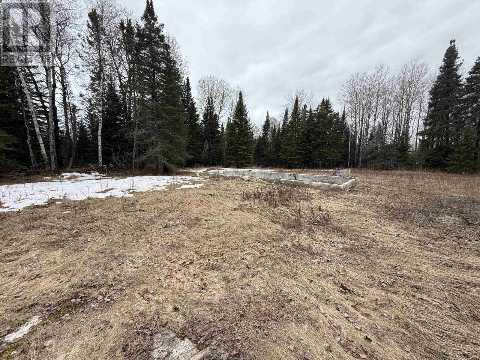 94 Meadows Rd, Dryden, Ontario  P8N 2Y4 - Photo 3 - TB2600672