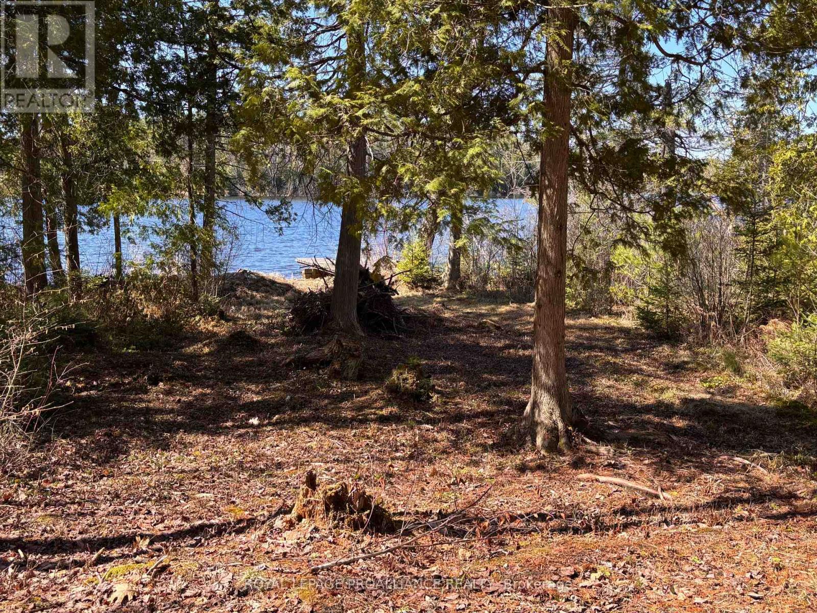 77 Campbells Lake Lane, Madawaska Valley, Ontario  K0J 1B0 - Photo 18 - X13064942