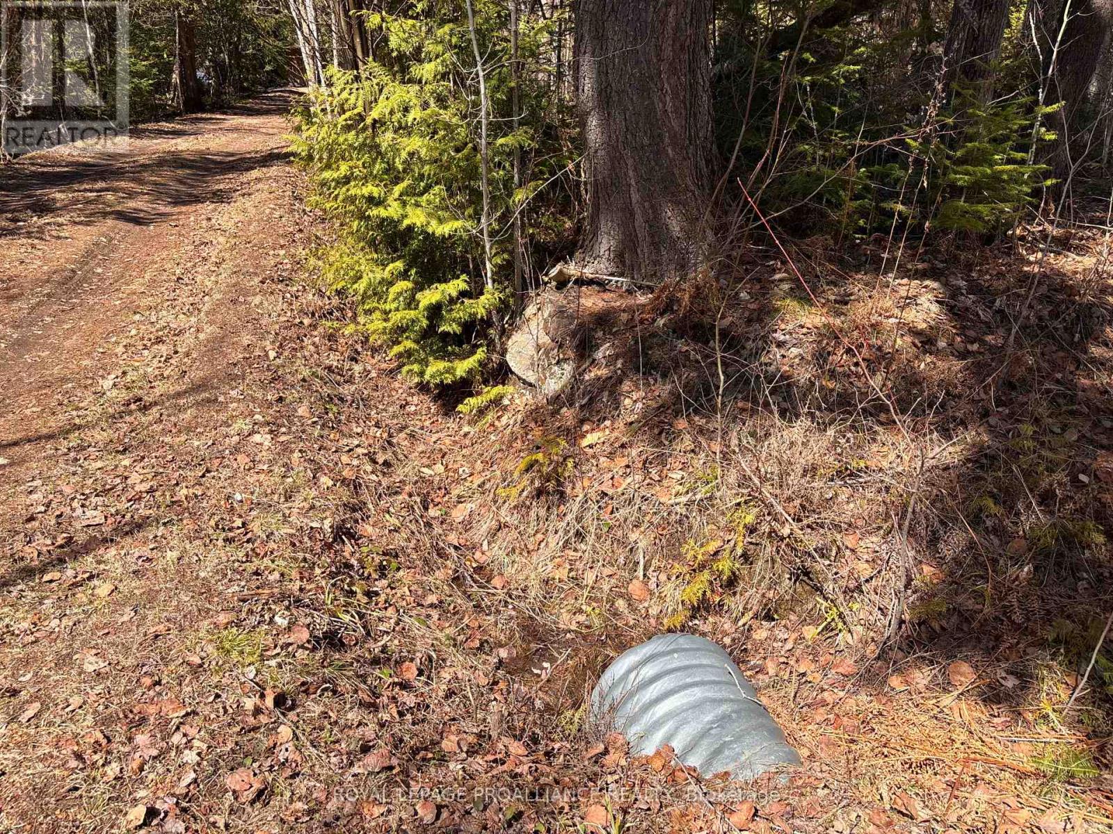 77 Campbells Lake Lane, Madawaska Valley, Ontario  K0J 1B0 - Photo 20 - X13064942