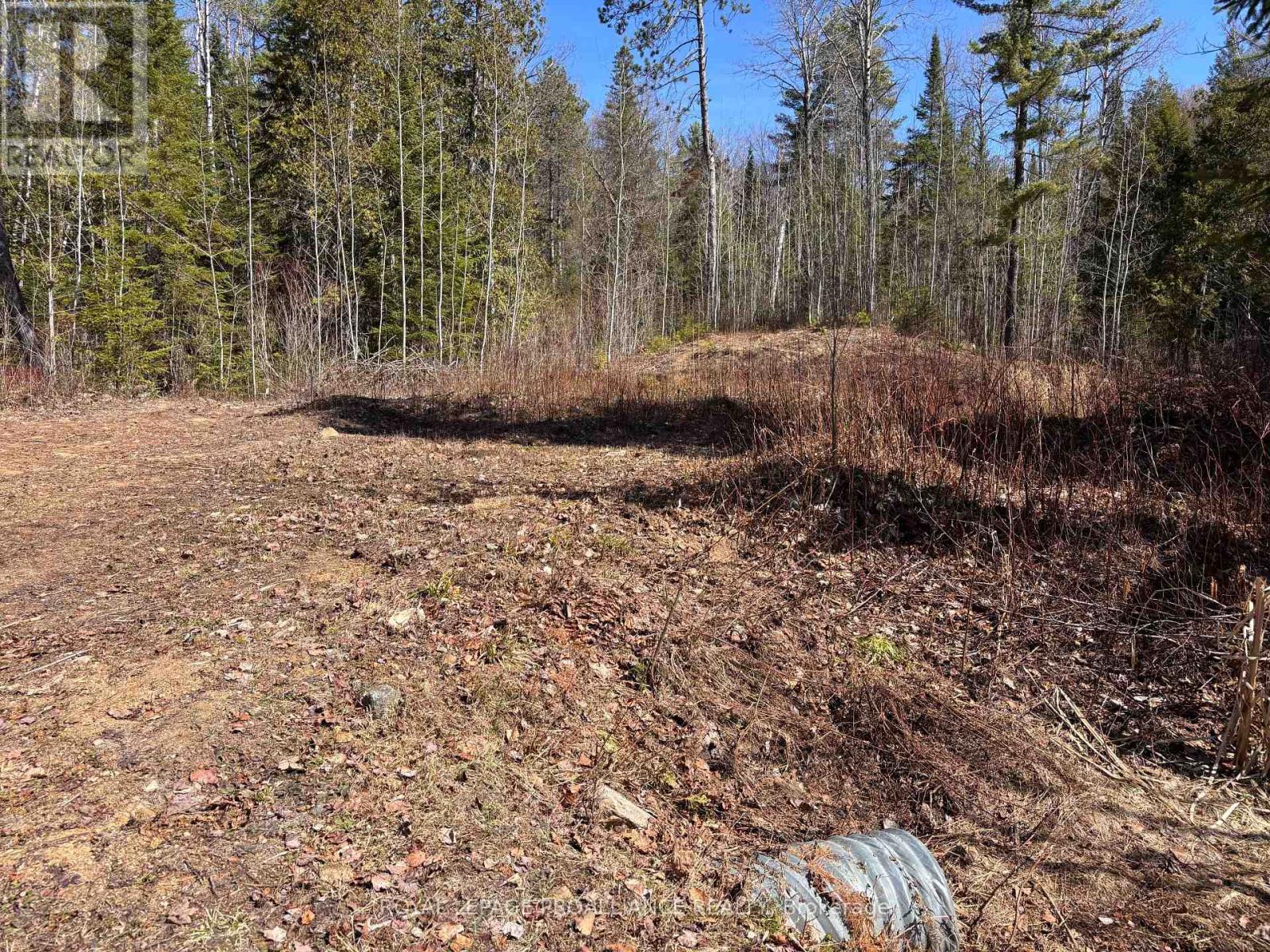 77 Campbells Lake Lane, Madawaska Valley, Ontario  K0J 1B0 - Photo 21 - X13064942