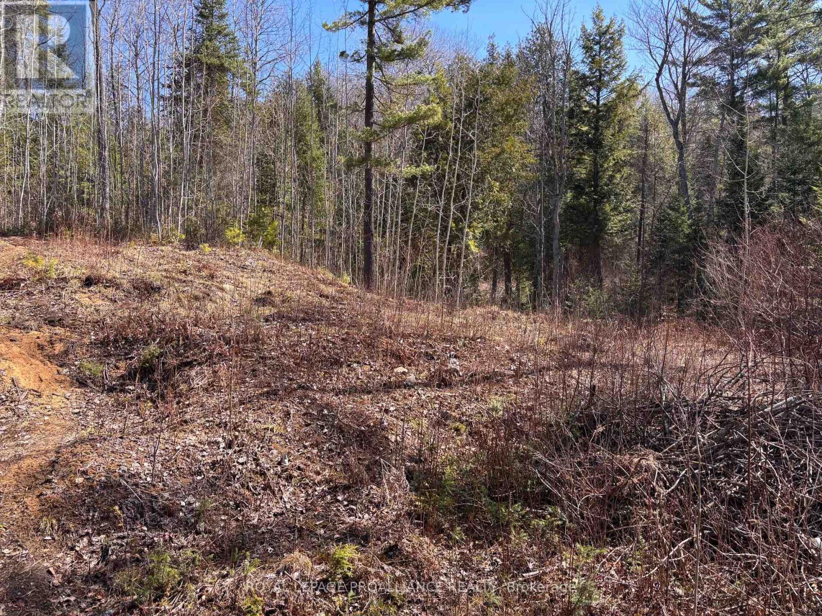 77 Campbells Lake Lane, Madawaska Valley, Ontario  K0J 1B0 - Photo 22 - X13064942