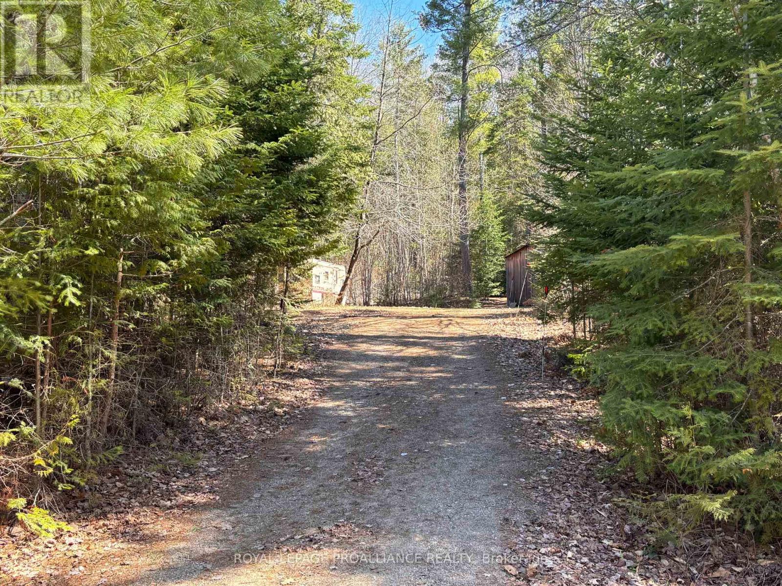 77 Campbells Lake Lane, Madawaska Valley, Ontario  K0J 1B0 - Photo 19 - X13064942
