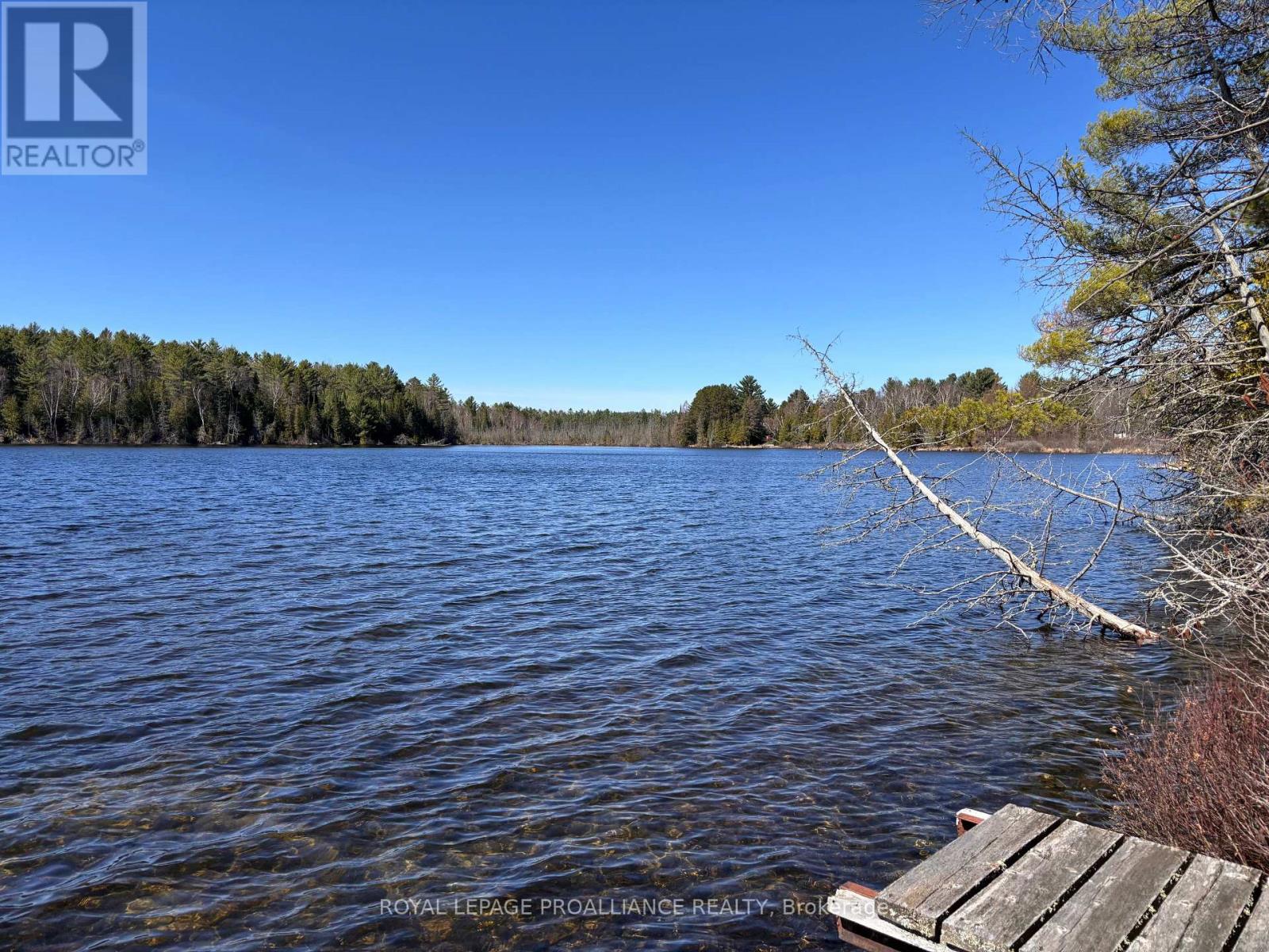 77 Campbells Lake Lane, Madawaska Valley, Ontario  K0J 1B0 - Photo 4 - X13064942
