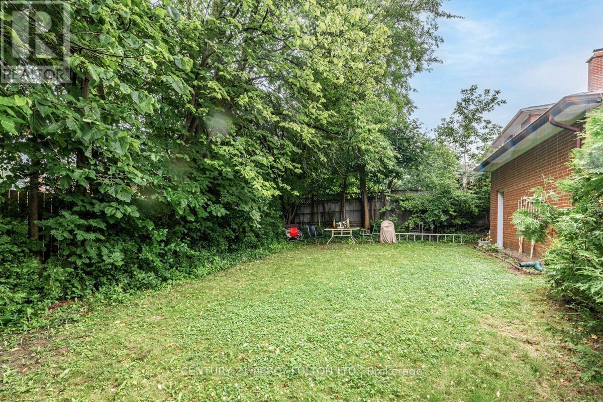 Main - 257 Otonabee Avenue, Toronto, Ontario  M2M 2S9 - Photo 5 - C13074690