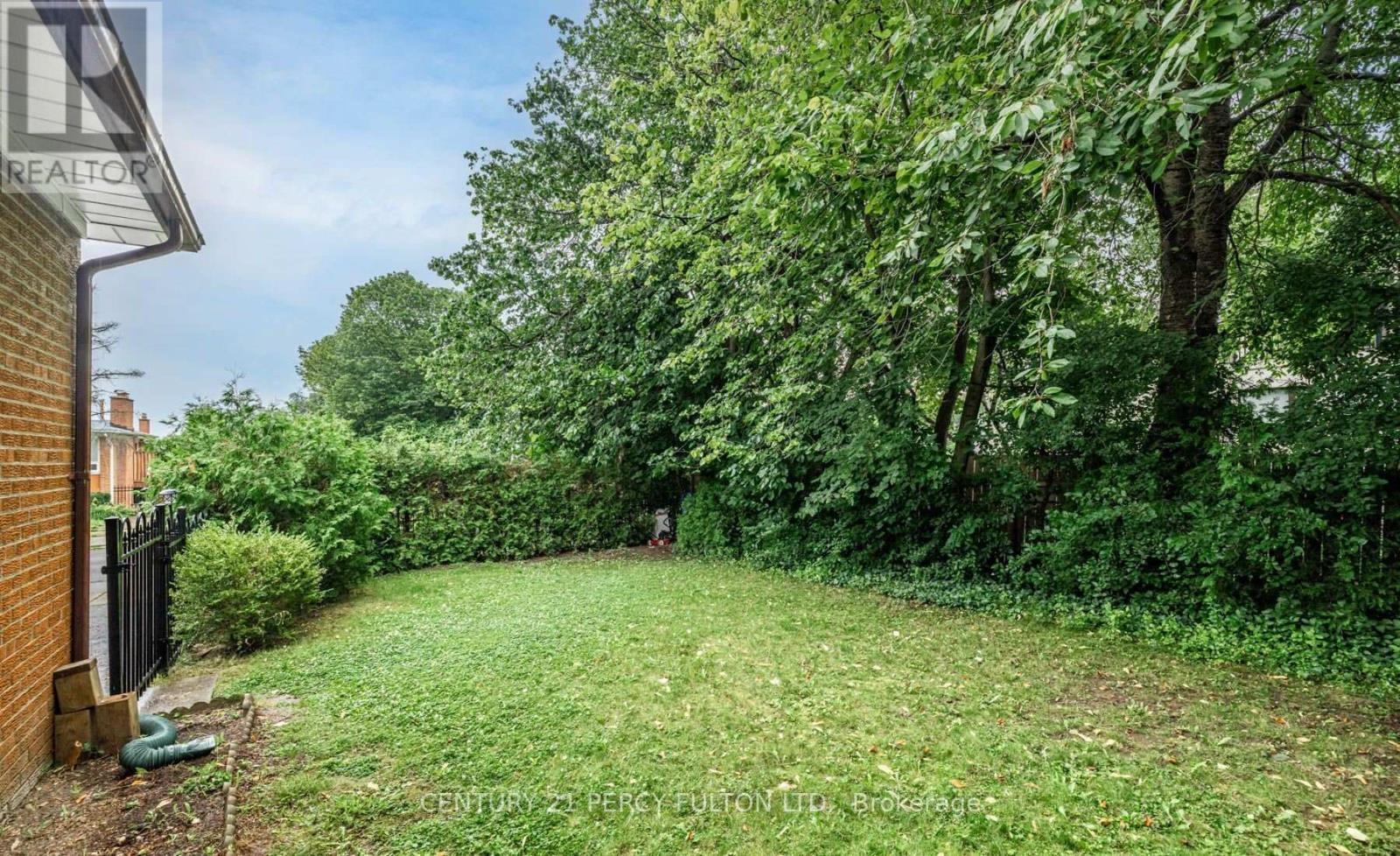 Main - 257 Otonabee Avenue, Toronto, Ontario  M2M 2S9 - Photo 22 - C13074690