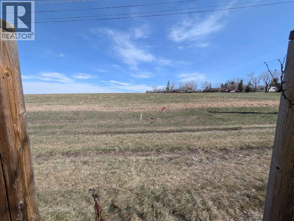 312 Christian Avenue, Standard, Alberta  T0J 3G0 - Photo 5 - A2306866