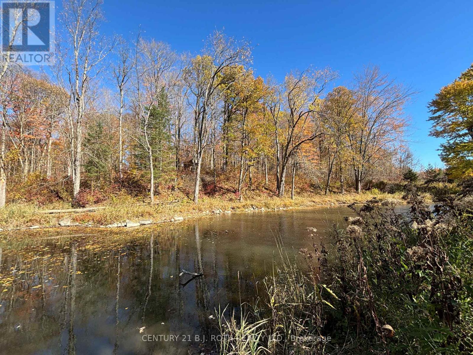 1007 Mount Stephen Road Ne, Severn, Ontario  L0K 1E0 - Photo 36 - S13074968