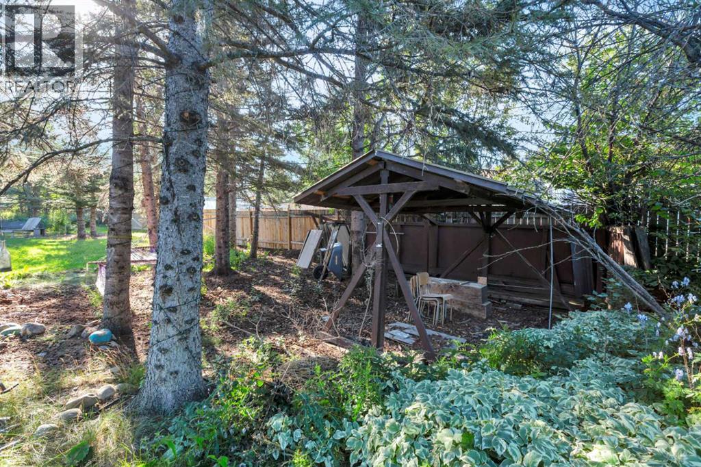 404 3 Avenue SW, Sundre, Alberta  T0M 1X0 - Photo 46 - A2251856