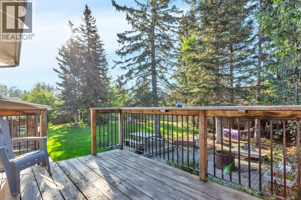 404 3 Avenue SW, Sundre, Alberta  T0M 1X0 - Photo 37 - A2251856