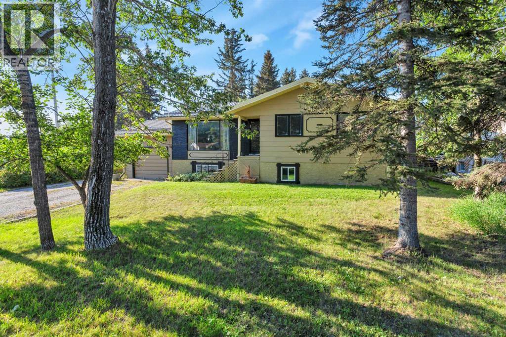 404 3 Avenue SW, Sundre, Alberta  T0M 1X0 - Photo 1 - A2251856