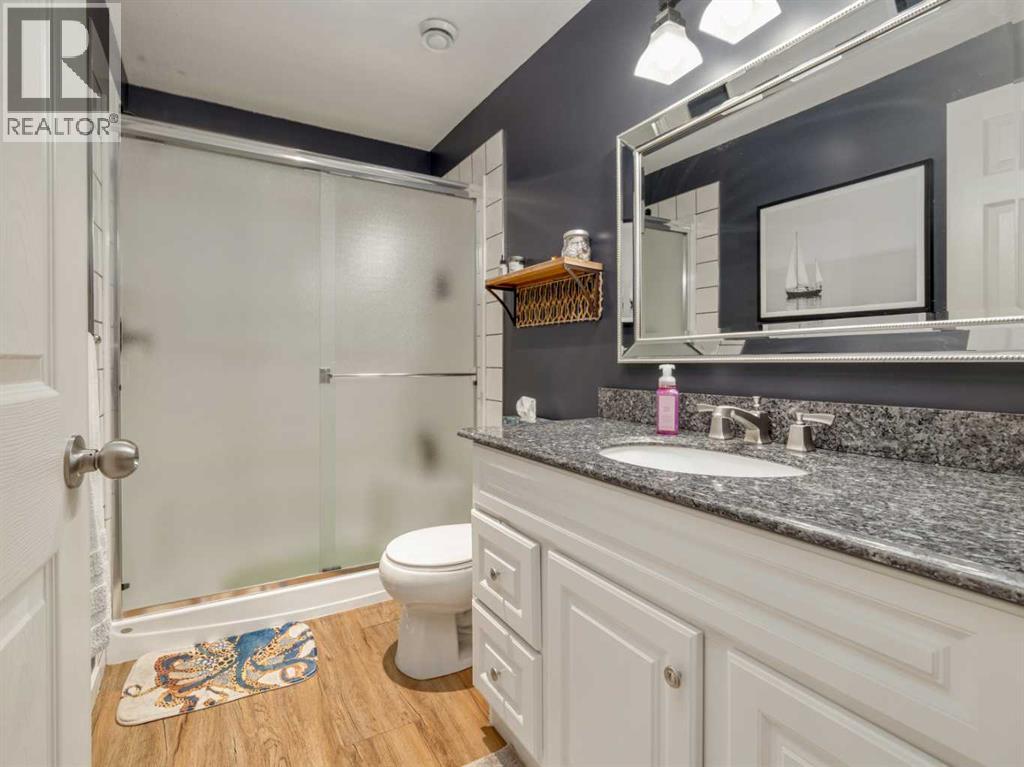 553 Mary Cameron Crescent N, Lethbridge, Alberta  T1H 6V6 - Photo 28 - A2305873