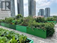 6206 - 30 Shore Breeze Drive, Toronto, Ontario  M8V 0J1 - Photo 46 - W13075210