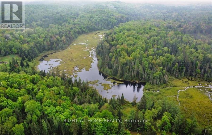 2263 Machar Strong Boundry Road, Strong, Ontario  P0A 1Z0 - Photo 2 - X13075254