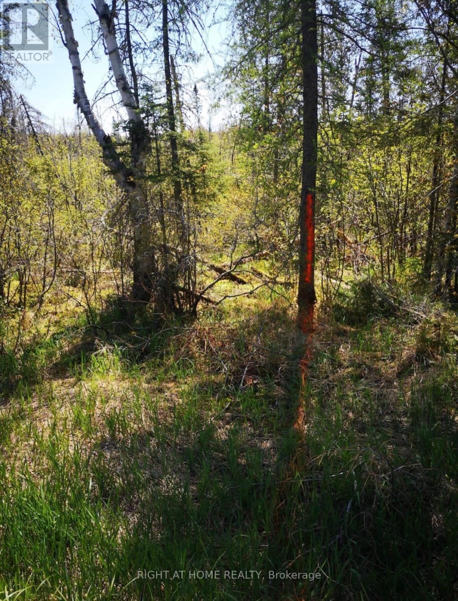 2263 Machar Strong Boundry Road, Strong, Ontario  P0A 1Z0 - Photo 5 - X13075254