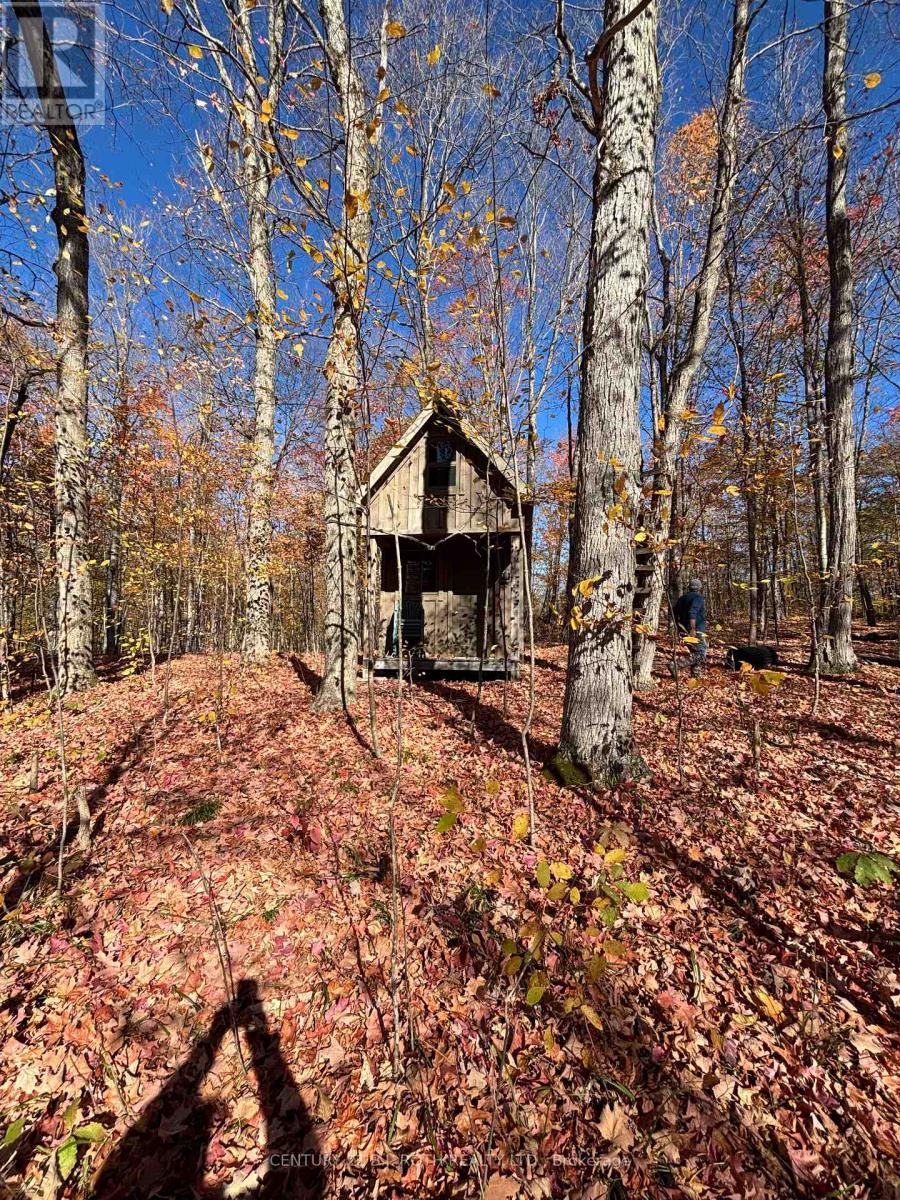 1007 Mount Stephen Road Ne, Severn, Ontario  L0K 1E0 - Photo 34 - S13074968