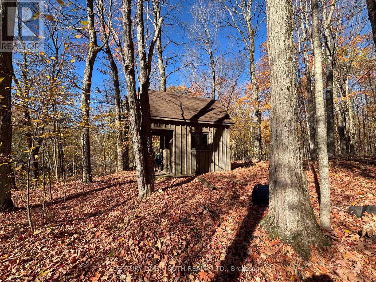 1007 Mount Stephen Road Ne, Severn, Ontario  L0K 1E0 - Photo 35 - S13074968