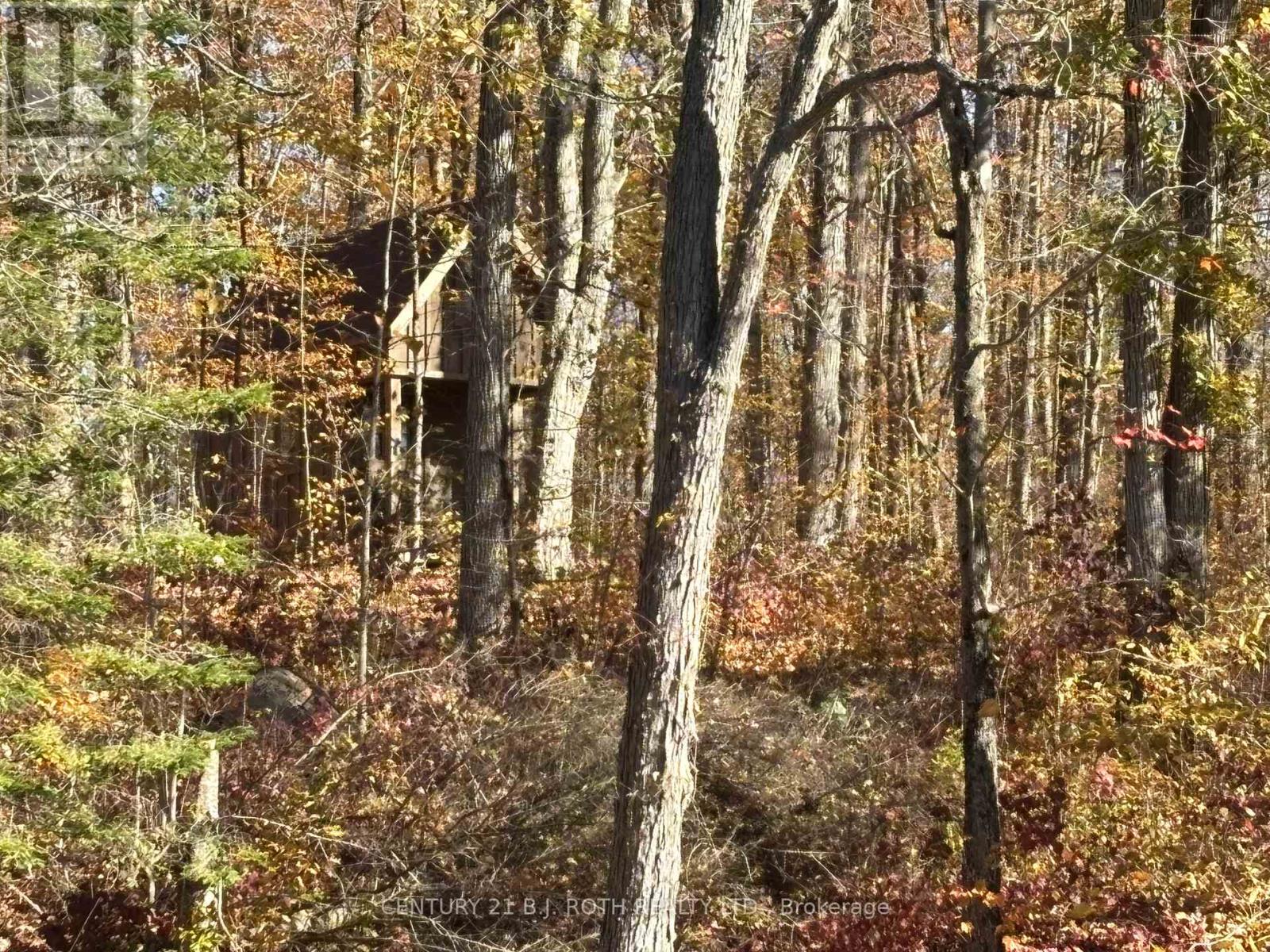 1007 Mount Stephen Road Ne, Severn, Ontario  L0K 1E0 - Photo 33 - S13074968