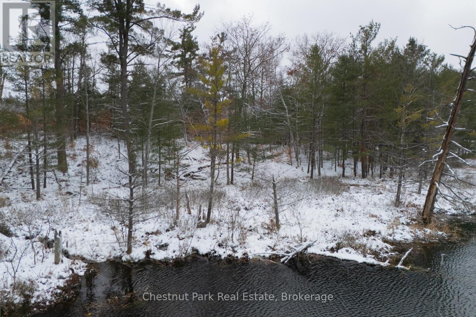 Pt Lt 33 Con 2 (Pt 2) Muskoka 118 Road W, Muskoka Lakes (Medora), Ontario  P0B 1J0 - Photo 31 - X13075362