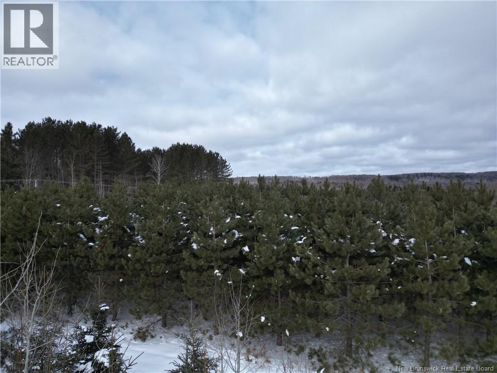Route 385, Maple View, New Brunswick  E7G 4L2 - Photo 21 - NB133371