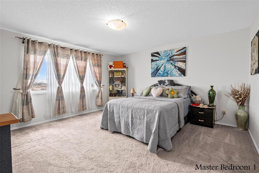 235 Mosselle Drive, Winnipeg, Manitoba  R2P 1N7 - Photo 18 - 202608292