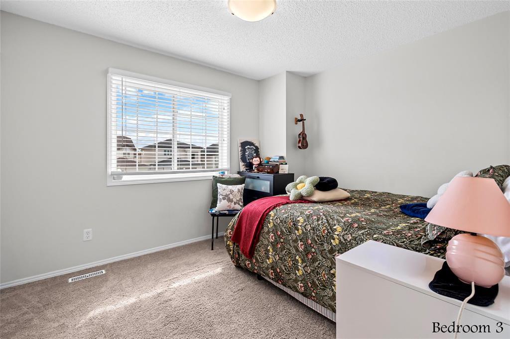 235 Mosselle Drive, Winnipeg, Manitoba  R2P 1N7 - Photo 24 - 202608292
