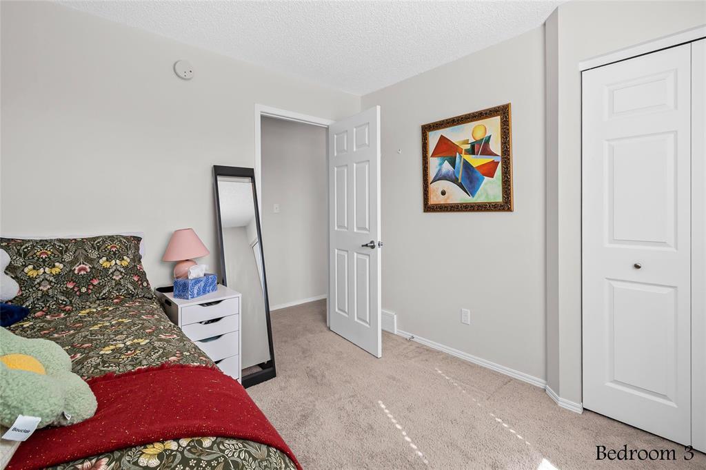 235 Mosselle Drive, Winnipeg, Manitoba  R2P 1N7 - Photo 25 - 202608292