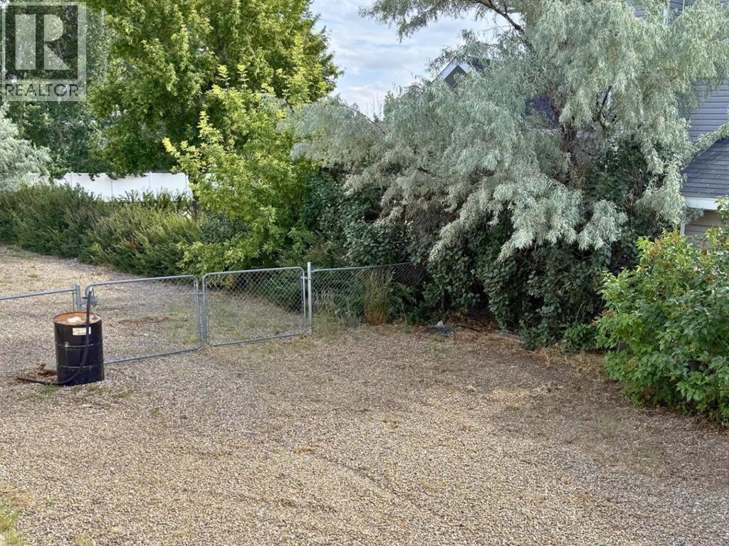 124 East 7 Avenue, Dunmore, Alberta  T1B 0J3 - Photo 6 - A2290935