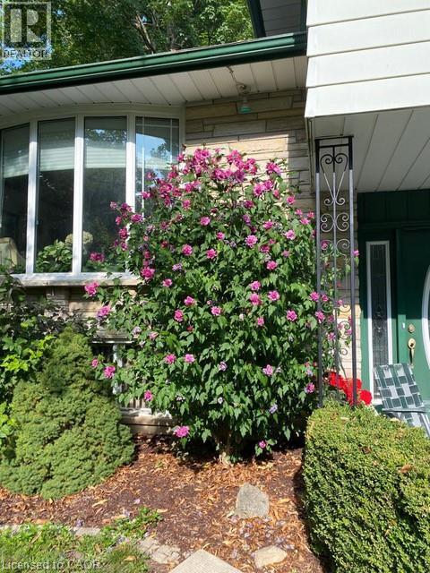 564 Glen Manor Boulevard, Waterloo, Ontario  N2L 4T6 - Photo 4 - 40820028