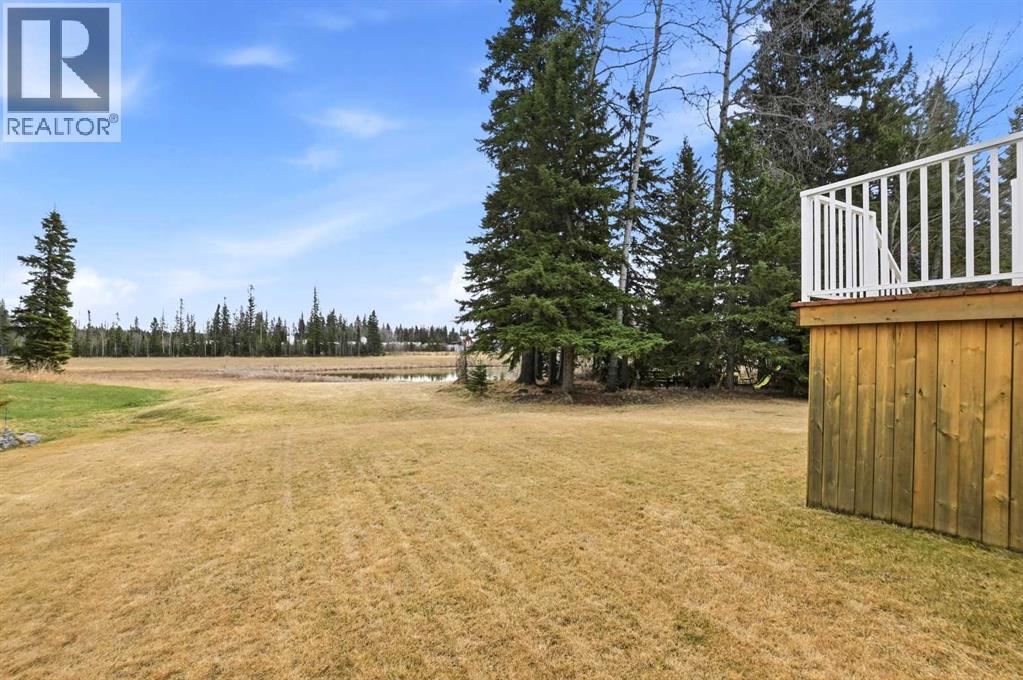 7303 61 Street, Rocky Mountain House, Alberta  T4T 1A7 - Photo 28 - A2307405