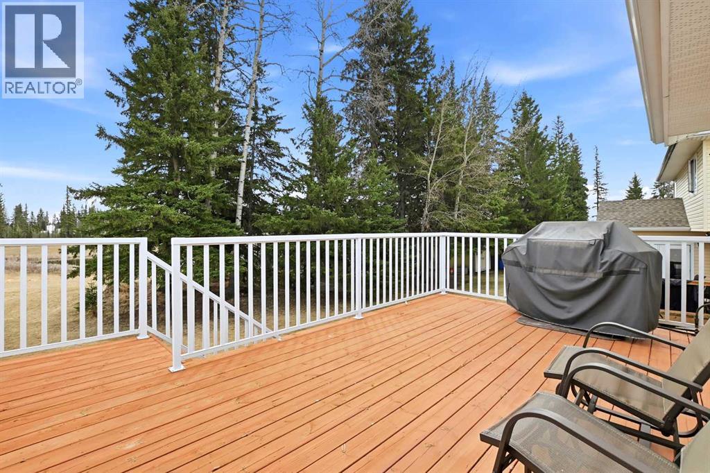 7303 61 Street, Rocky Mountain House, Alberta  T4T 1A7 - Photo 25 - A2307405