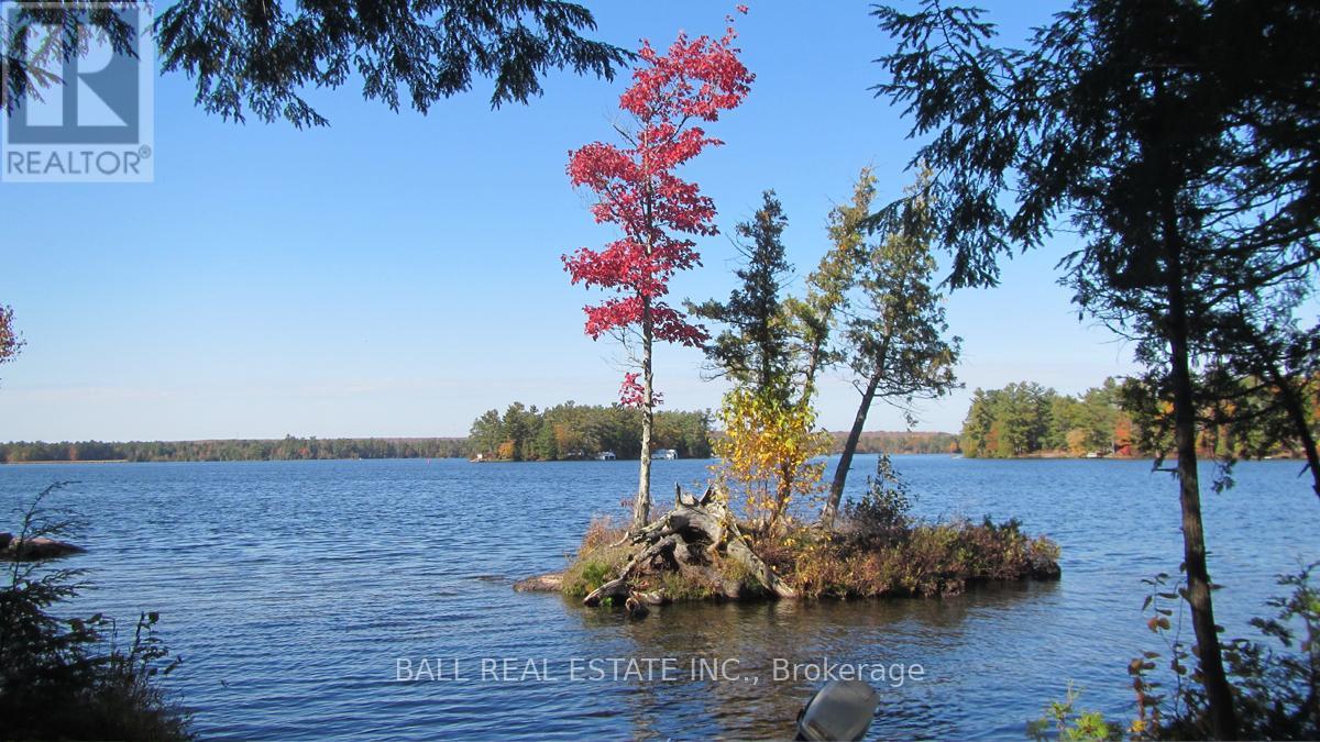 3174 + 3170 Spring Lane E, Selwyn, Ontario  K0L 2H0 - Photo 39 - X12975470