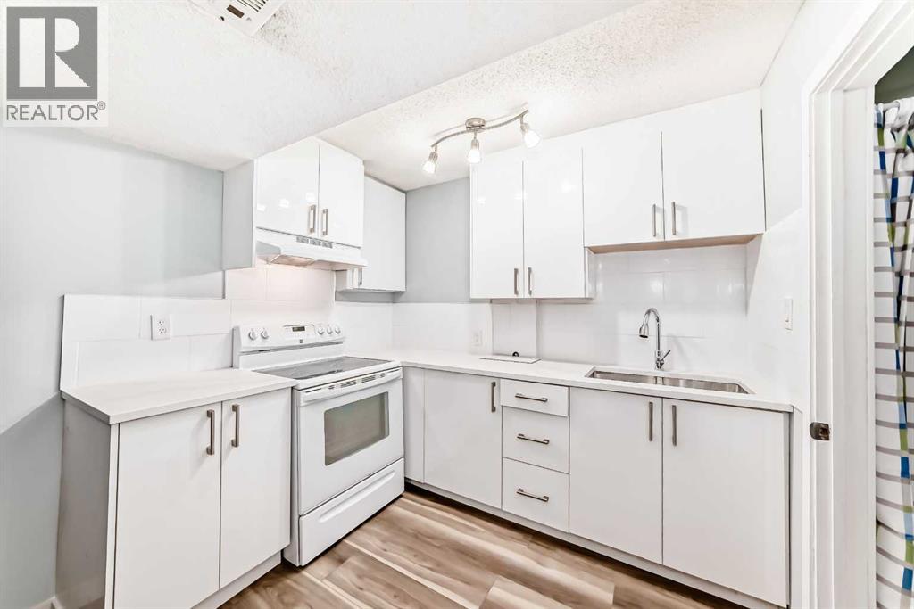 77 Martinbrook Road NE, Calgary, Alberta  T3J 3E1 - Photo 31 - A2307425