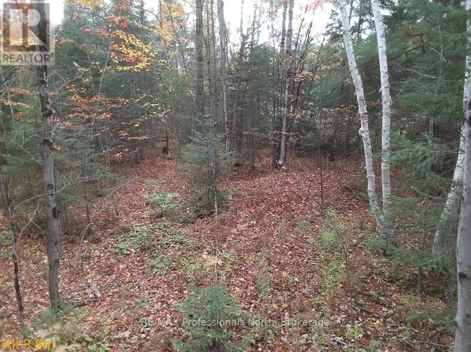 Tbd Gelert Road, Minden Hills, Ontario  K0M 2K0 - Photo 2 - X13075668